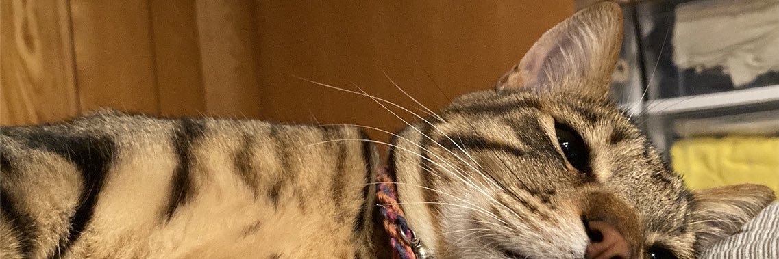 wakanow's profile banner image