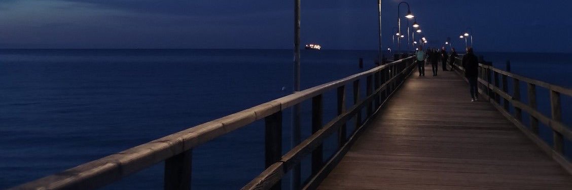 🌻🪷🪻 banner