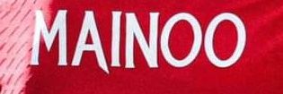 Elvis banner