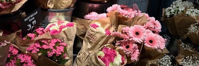 sya 🕊️ banner
