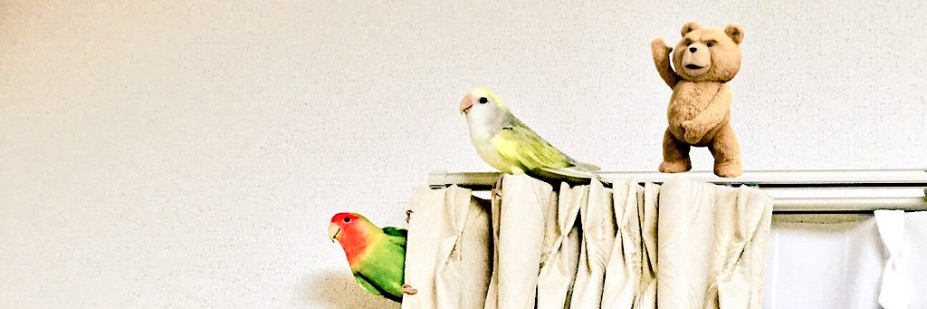 長瀬めぐみ banner