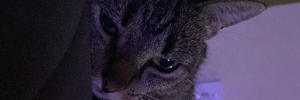 amomulhermaluc Profile Banner