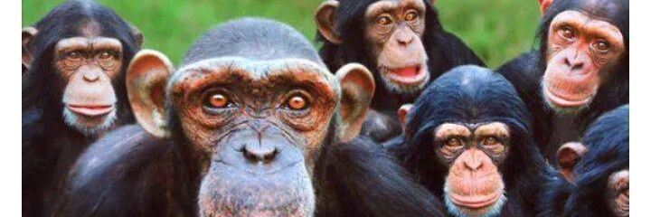 preto_javier's profile banner image