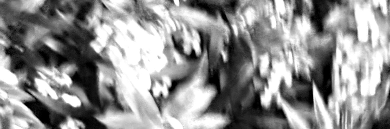DHipX2's profile banner image