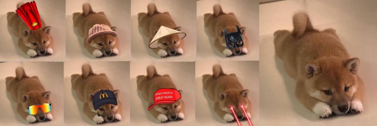 ShibbyCTO's profile banner image