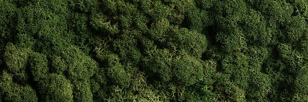 Yryrushkaa Profile Banner