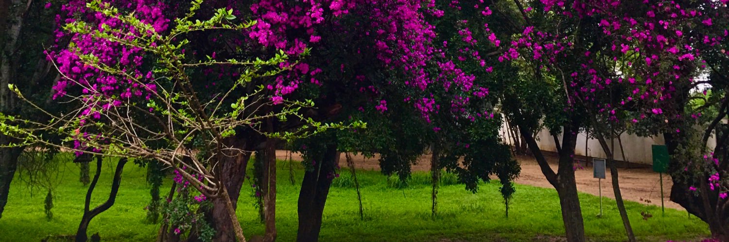 AlMaNSG banner