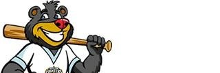 ひらさわ banner