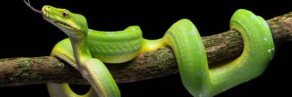 zackkkjk Profile Banner