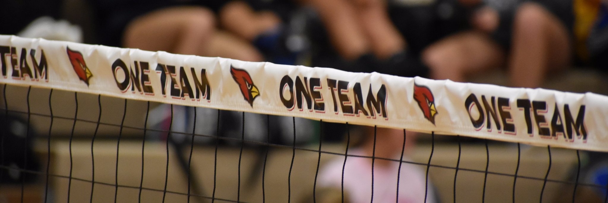 CRCardinalVB's profile banner image