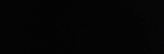 camizarbo's profile banner image