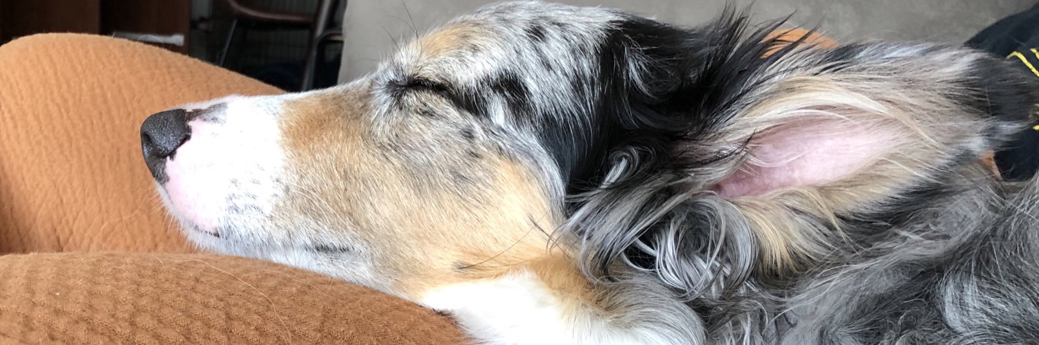 Tweet_Tuck's profile banner image
