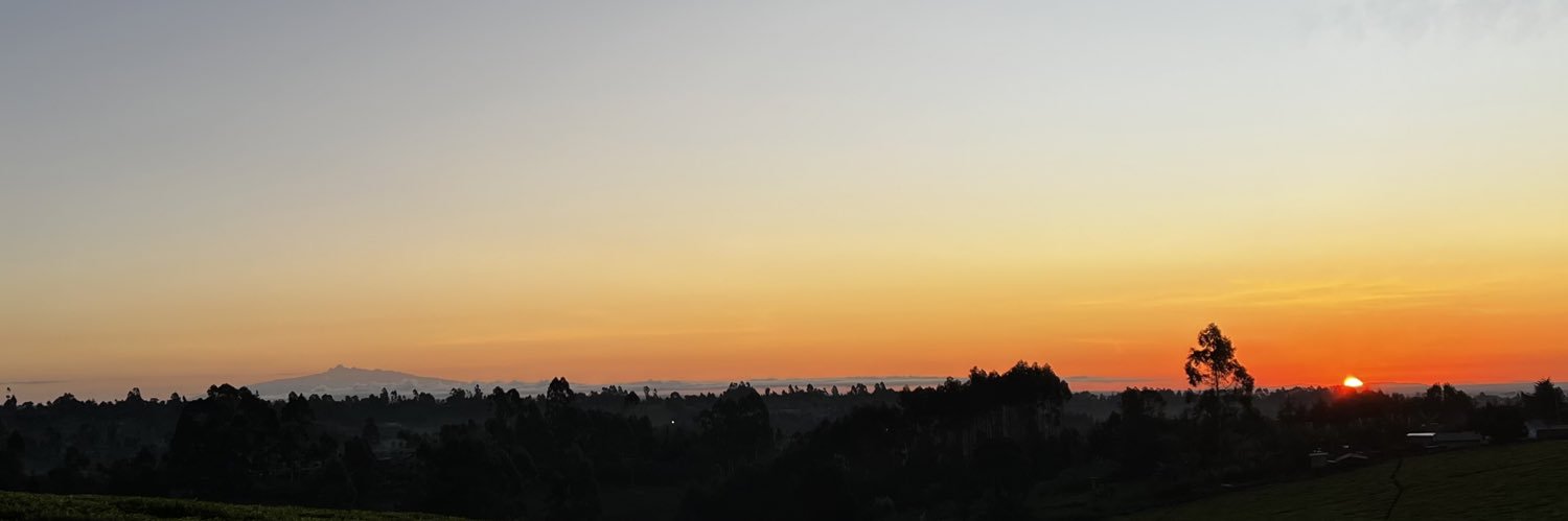 DΣXƬΣЯ banner