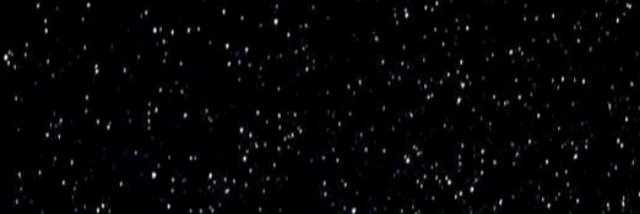 มะกรูด 🌿 banner