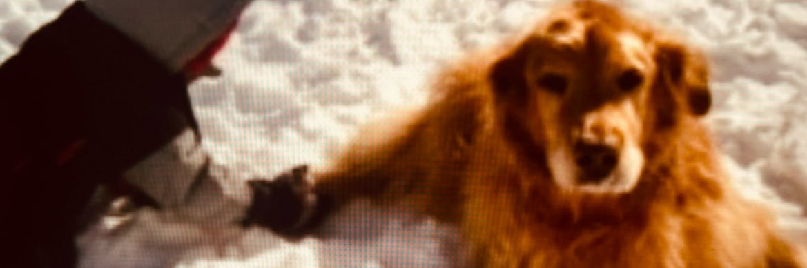 benm_akin's profile banner image
