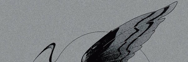 STORMEDGRAVITY Profile Banner