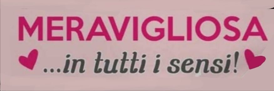 ginseng ‧ ִ ˚ 𓈒 ˖࣪ banner