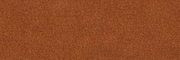 Daniel banner
