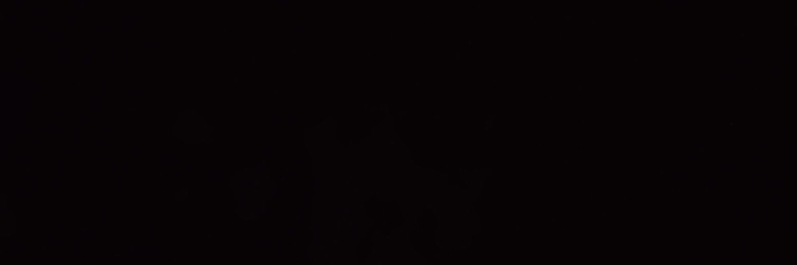 Radi'atu jibril's banner