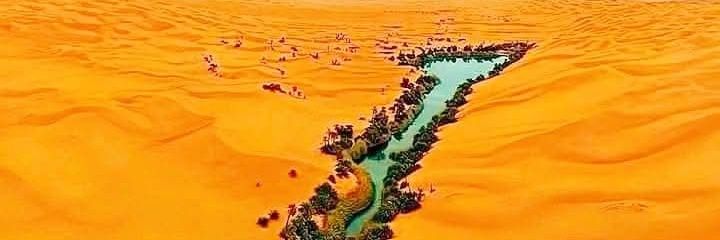البراء 🇱🇾 banner