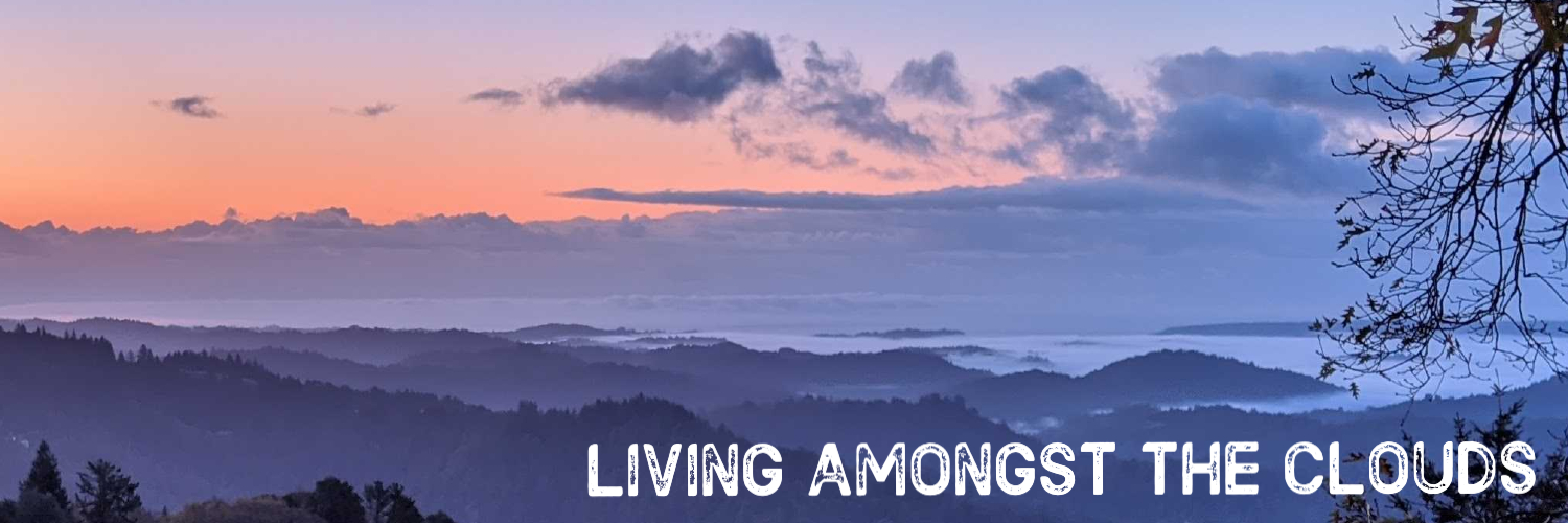 Simon Long ☁️ banner