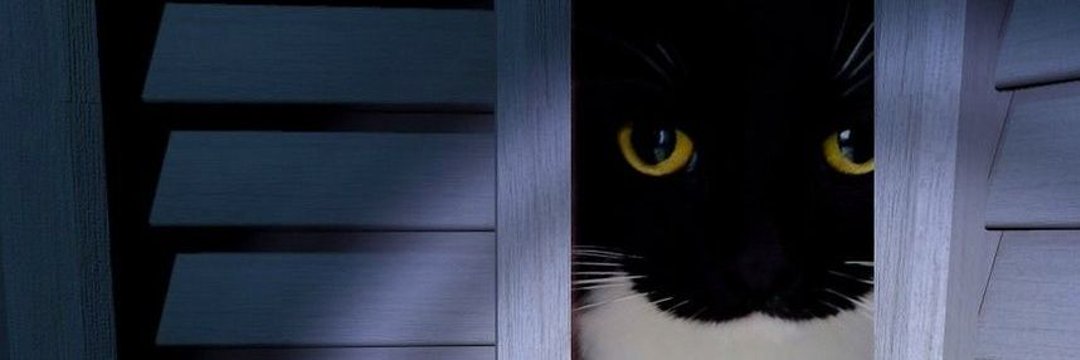 cyberjjo's profile banner image