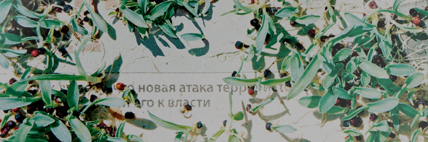 rilx27_3's profile banner image