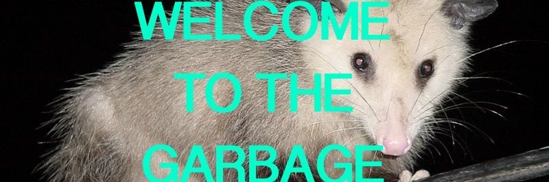 ohgemma__'s profile banner image