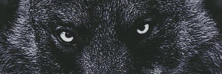 MalSystem's profile banner image