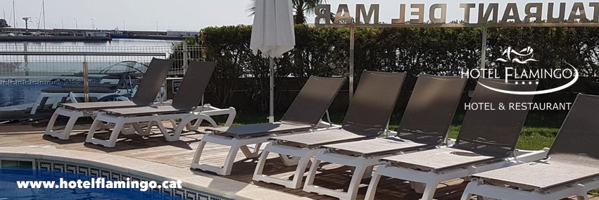 Hotel Flamingo banner