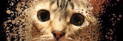 Mikelinha3's profile banner image