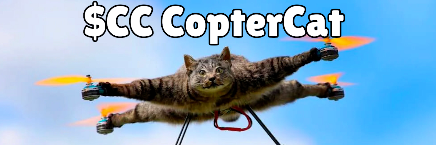 CopterCatt's profile banner image