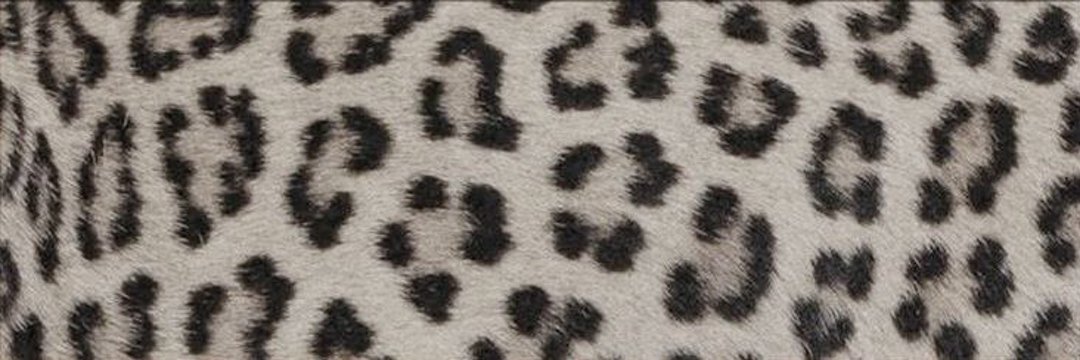 ✪ Misanthropic✦ banner