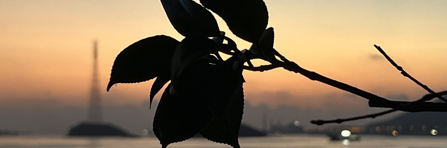 Wins_Fu's profile banner image