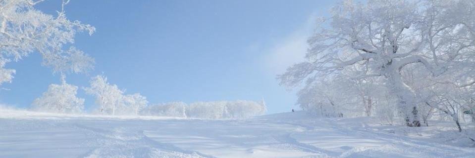 tyobizx's profile banner image