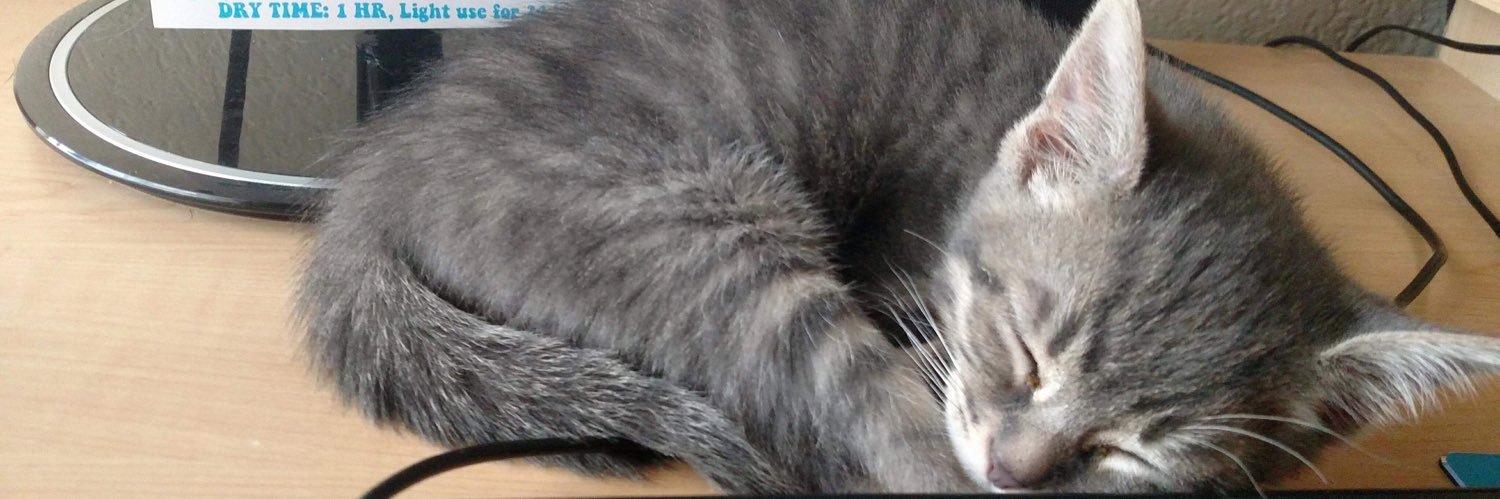 MassaroJamie's profile banner image