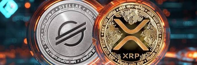 criptomaniaco banner