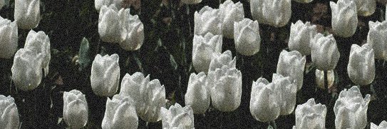 くぐ's banner