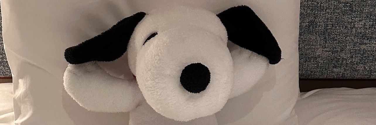 I sun. banner