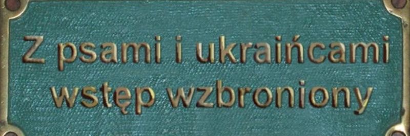 Русский мир 2.0 banner