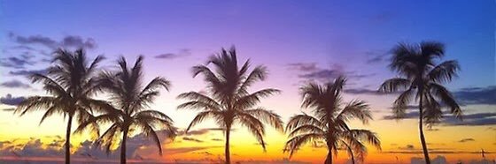 …:danny_bruh:.. banner