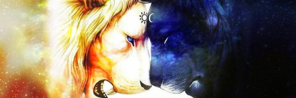 iLeslieMD's profile banner image
