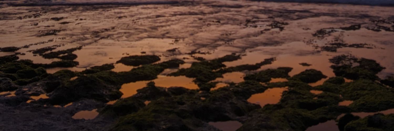 ofxarav's profile banner image