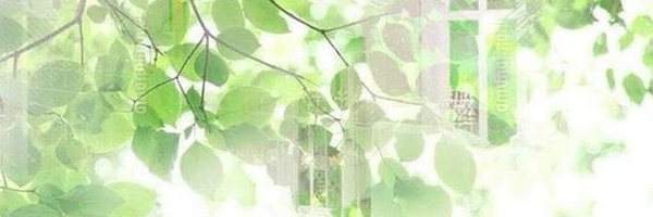STARXDROPZ Profile Banner