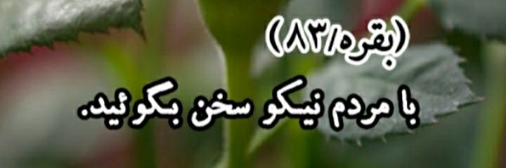 🇮🇷نعمتی's banner