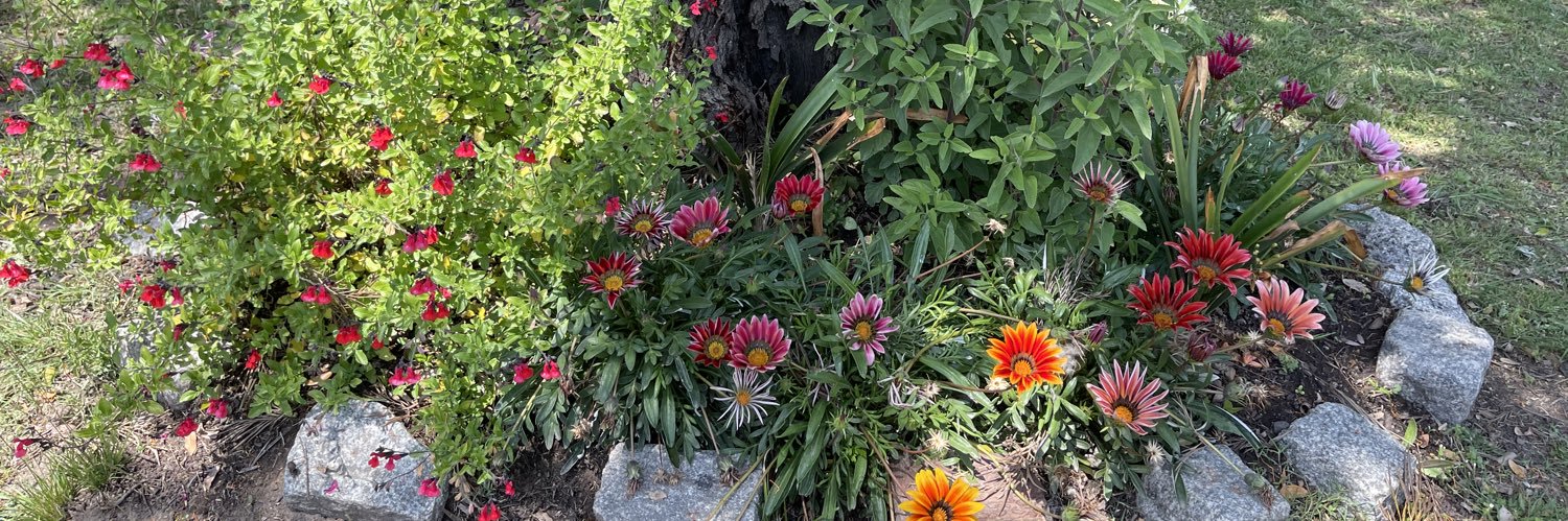 maria luisa callaba banner