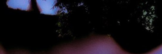 doriancxc's profile banner image