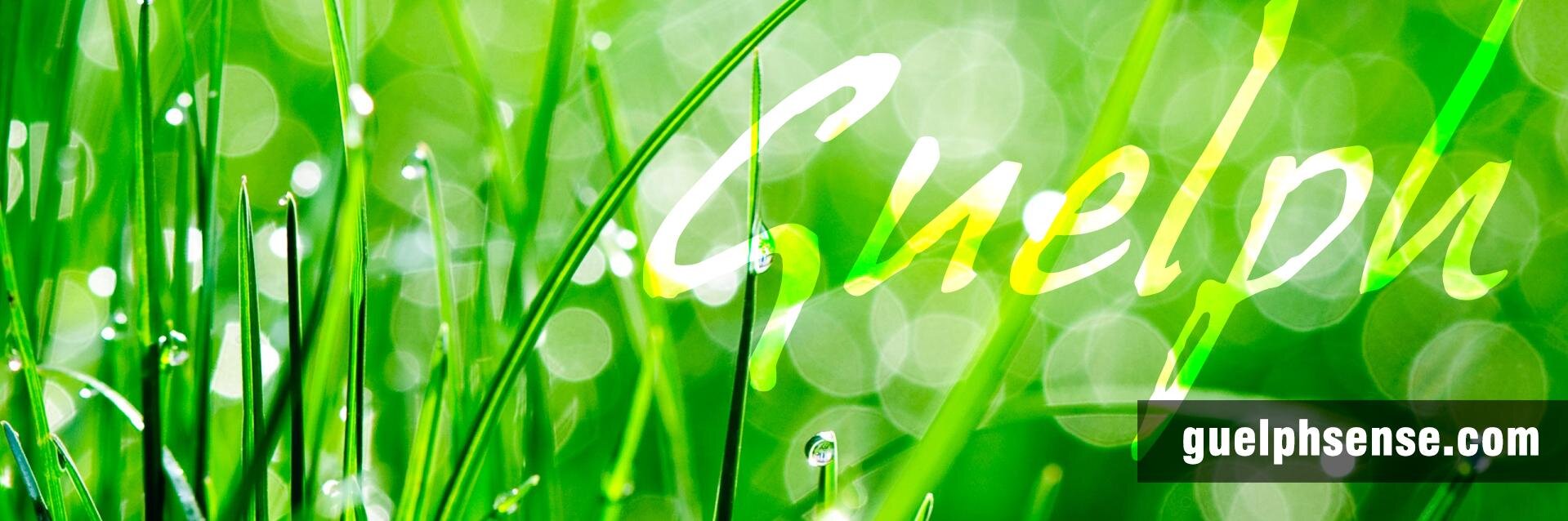 GuelphSense's profile banner image