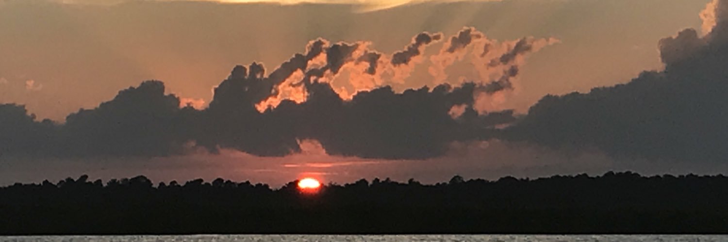 TomWWilliams's profile banner image