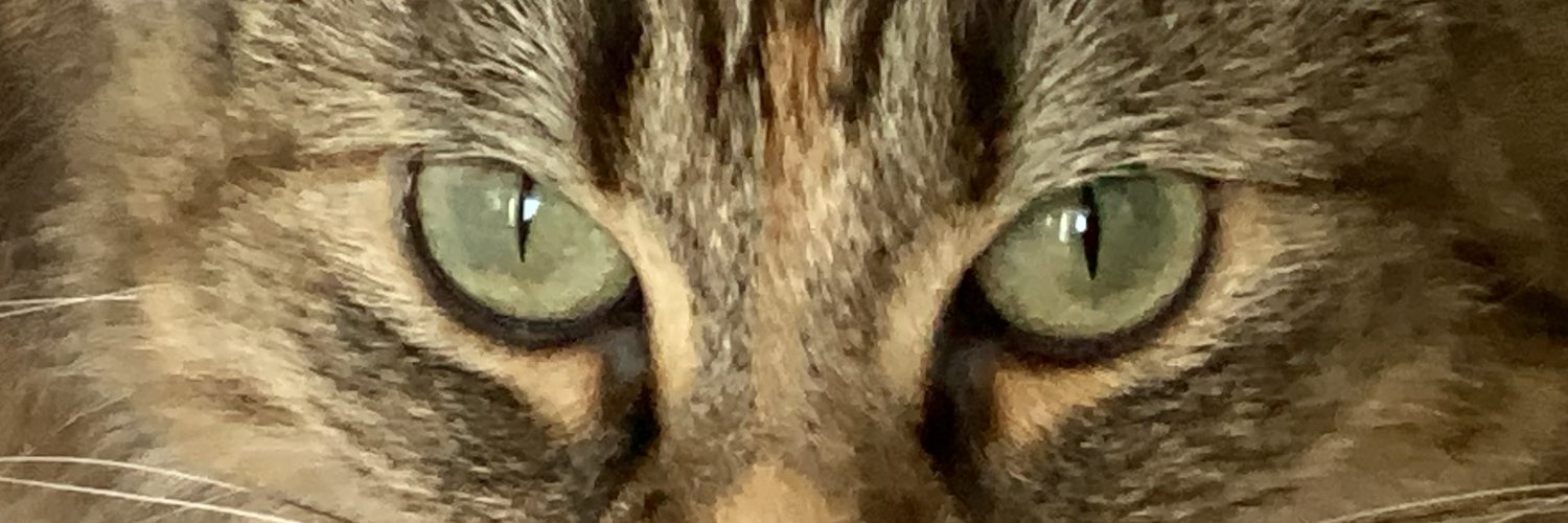RamiPra2's profile banner image